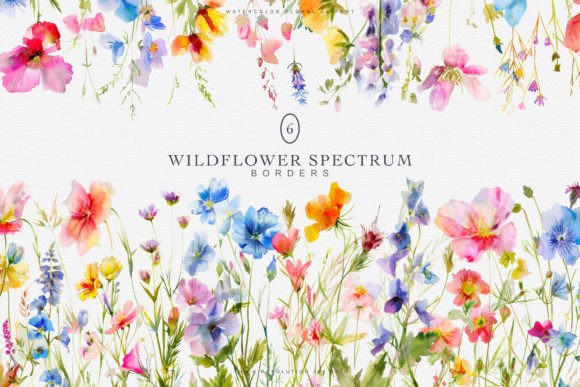 Download Watercolor Colorful Wildflowers Borders - Border Collection